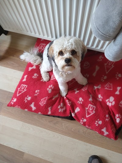 Photo associated with Perfect Paws Dog Grooming