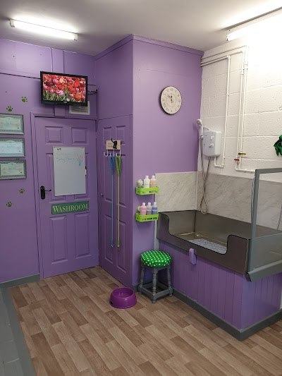 Photo associated with Betty Blair's Dog Groomers