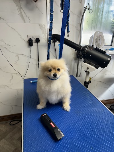 Photo associated with Happy Paws Dog Grooming Service, Bridgend