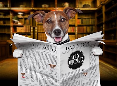 Photo associated with Muttzcutz dog grooming