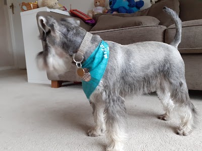 Photo associated with Sandbach Dog Grooming