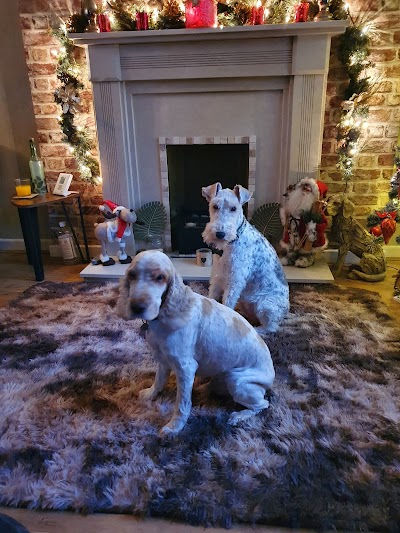 Photo associated with Millionhairs Dog Grooming - "Where every dog is special".