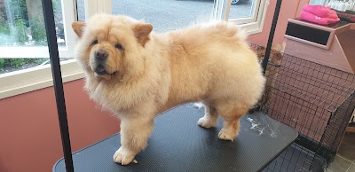 Photo associated with Trendy Paws