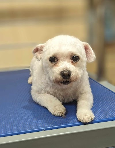 Photo associated with Mia's Paw Spa