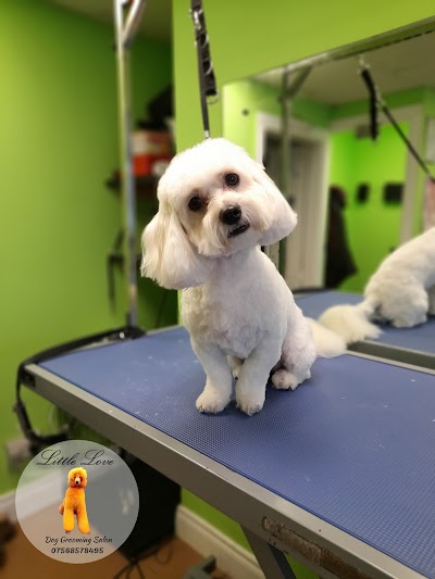 Photo associated with Little Love Dog Grooming