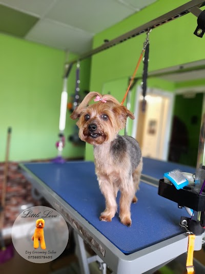 Photo associated with Little Love Dog Grooming
