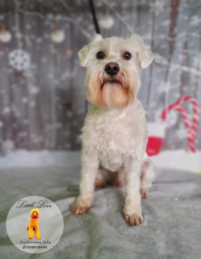 Photo associated with Little Love Dog Grooming