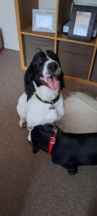 Photo associated with Paws At Pencoed