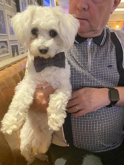 Photo associated with Kutz Dog Grooming
