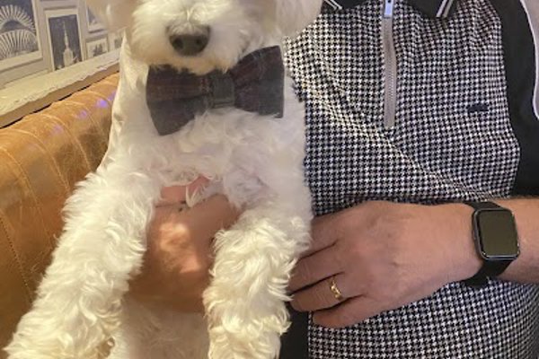 Photo associated with Kutz Dog Grooming