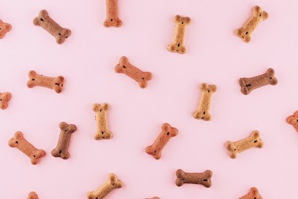 Photo associated with Brislington Dog Groomers