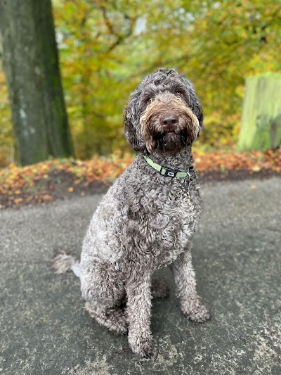 Photo associated with Prestige Dog Grooming