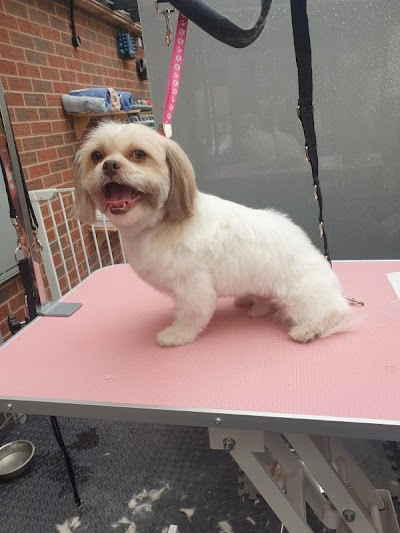 Photo associated with Woof N Fluff Shack