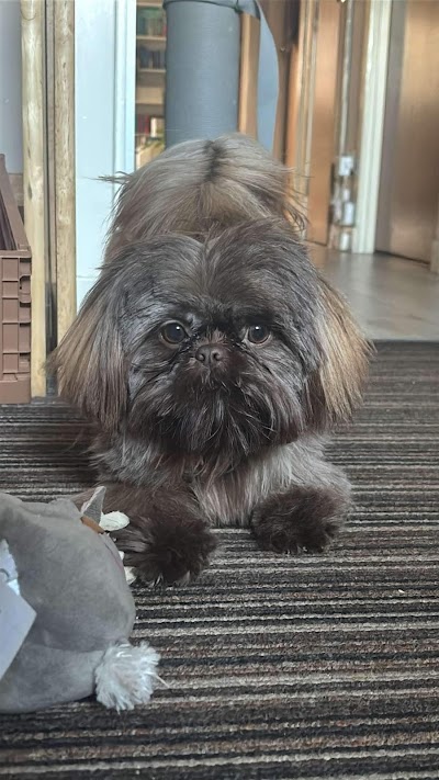 Photo associated with Dogs About Town
