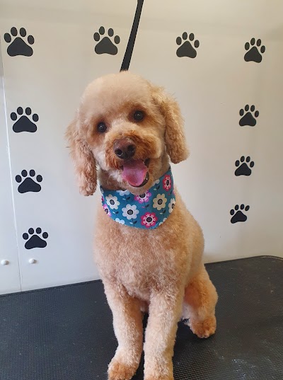 Photo associated with Doggywood Pet Grooming