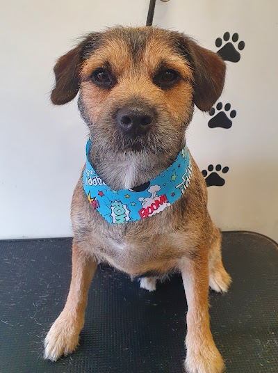 Photo associated with Doggywood Pet Grooming