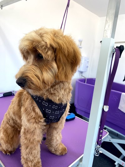 Photo associated with Sweets Dog Grooming