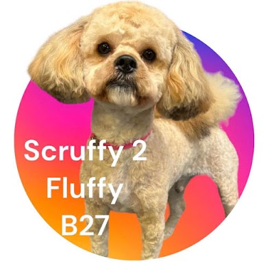 Photo associated with Scruffy 2 Fluffy