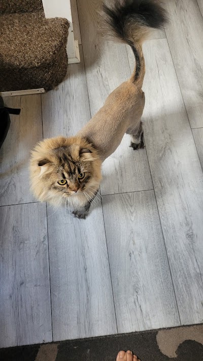 Photo associated with Top Paws