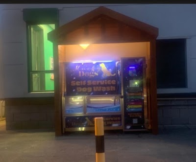 Photo associated with Mucky Dogs