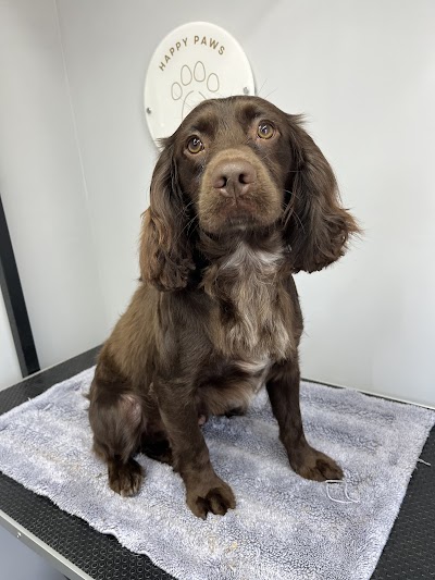 Photo associated with Happy Paws dog grooming