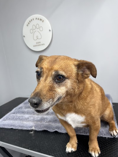 Photo associated with Happy Paws dog grooming