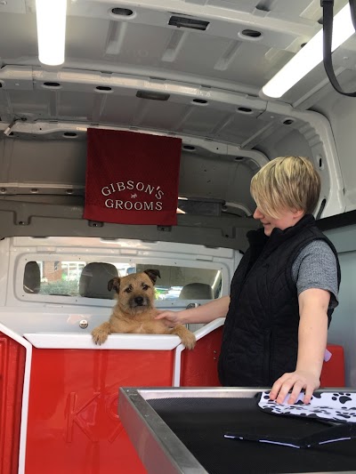 Photo associated with Gibsons Grooms (Mobile Dog Groomer)