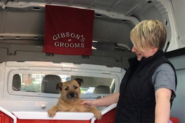 Photo associated with Gibsons Grooms (Mobile Dog Groomer)
