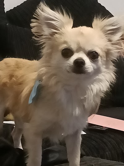 Photo associated with Pedigree Cuts