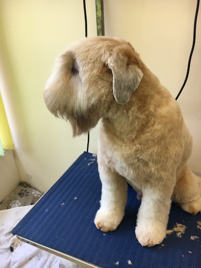 Photo associated with Smart Pets Grooming