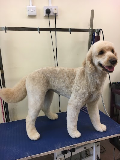 Photo associated with Smart Pets Grooming