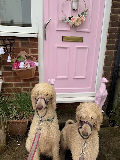 Photo associated with Rachael's Mobile Dog Grooming