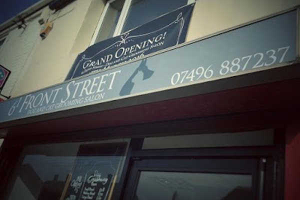Photo associated with 61 Front Street Groomers