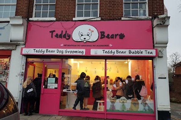 Photo associated with Teddy Bear Dog Grooming
