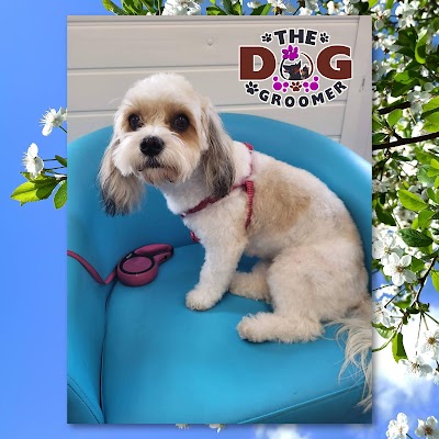 Photo associated with The Dog Groomer