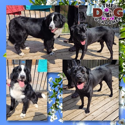 Photo associated with The Dog Groomer