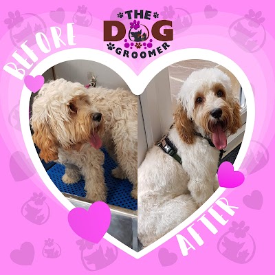 Photo associated with The Dog Groomer