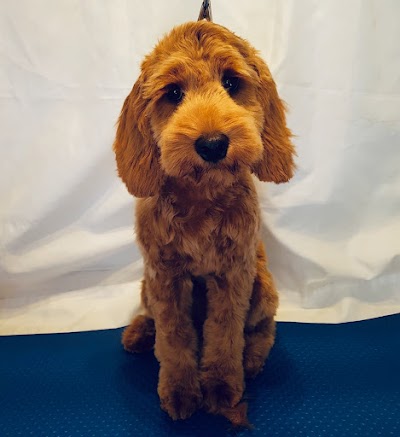 Photo associated with Angela's Dog Grooming