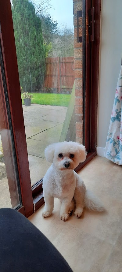 Photo associated with The Puppy Parlour