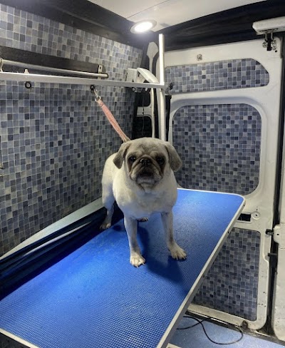 Photo associated with The Pamper Camper Grooming Services LTD