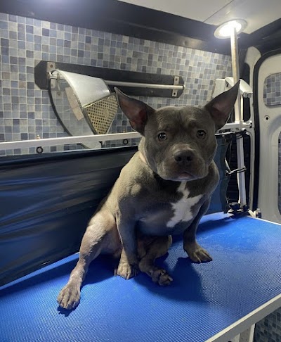 Photo associated with The Pamper Camper Grooming Services LTD