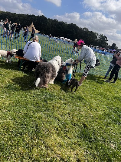 Photo associated with Becks' Pawfect Pets