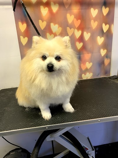 Photo associated with Pawsh paws
