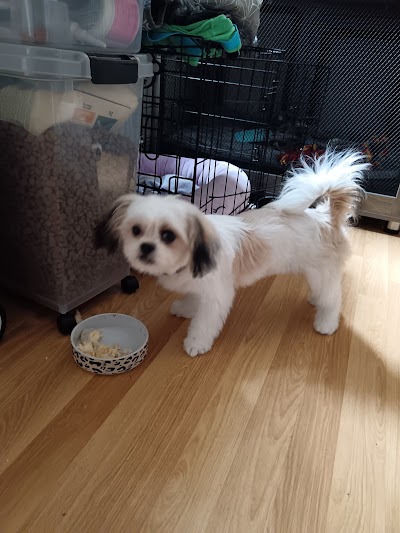 Photo associated with Southborough Pet Groomers