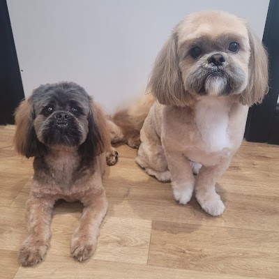 Photo associated with The Hinckley Dog Groomer