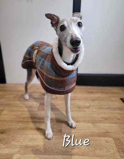 Photo associated with The Hinckley Dog Groomer