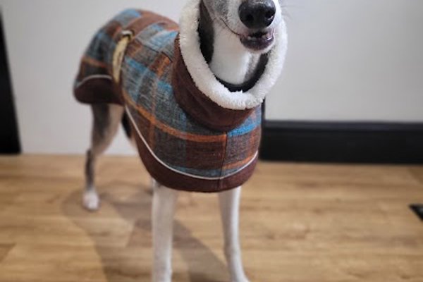 Photo associated with The Hinckley Dog Groomer