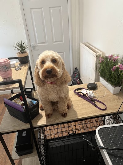 Photo associated with Garden lane Dog Groomers