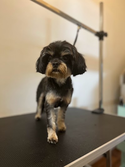 Photo associated with Garden lane Dog Groomers