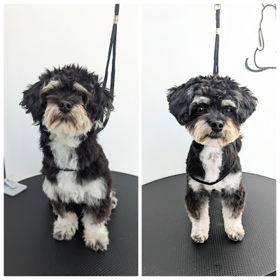Photo associated with Cammy's Grooming & Spa